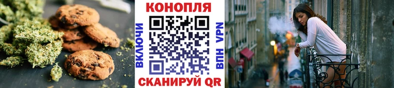 Купить где  Могоча  Cannafood конопля 