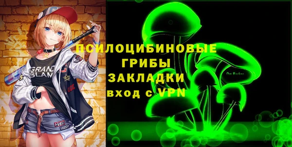 прущий лед Горняк